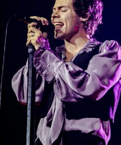 Harry Styles Celebrity Paint By Numbers