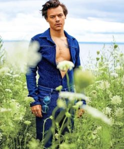 Harry Styles Photoshoot Paint By Numbers
