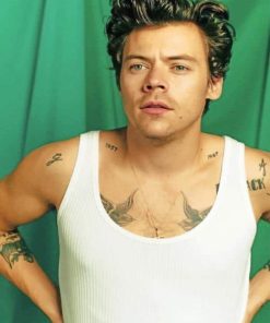 Harry Styles Celebrity Paint By Numbers