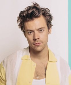 Harry Styles Fashion Paint By Numbers