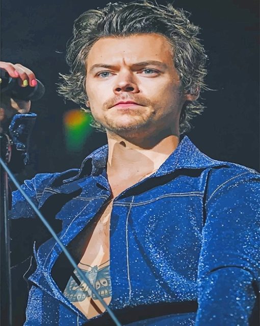 Harry-styles-singer-adult-paint-by-numbers