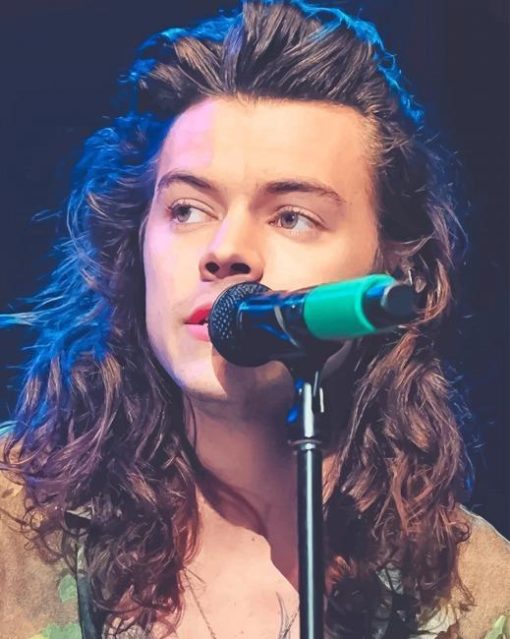 Harry-styles-singing-paint-by-numbers