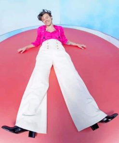 Harry Styles Pink Theme Paint By Numbers