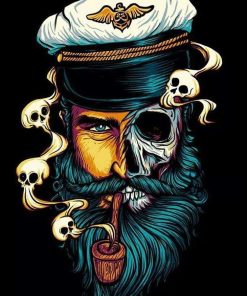 Captain Skull Themed Paint By Numbers