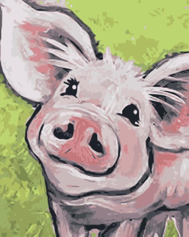 Happy Pig Animals Paint By Numbers