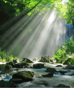 Beautiful Forest Nature Scenery Paint By Numbers