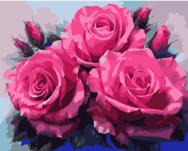 Pink Rose Blooms Paint By Numbers