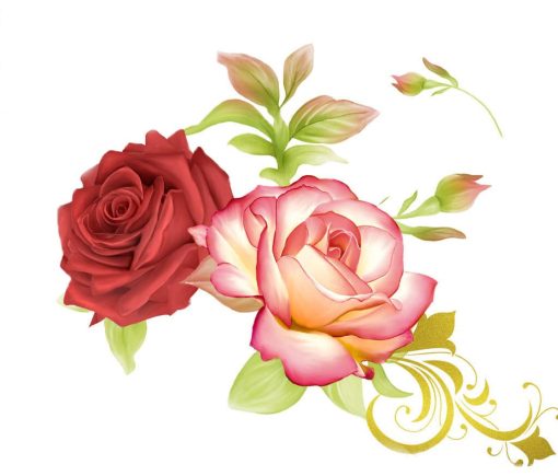 Heirloom-Roses-DIY-Flowers-Paint-By-Numbers-PBN-7066