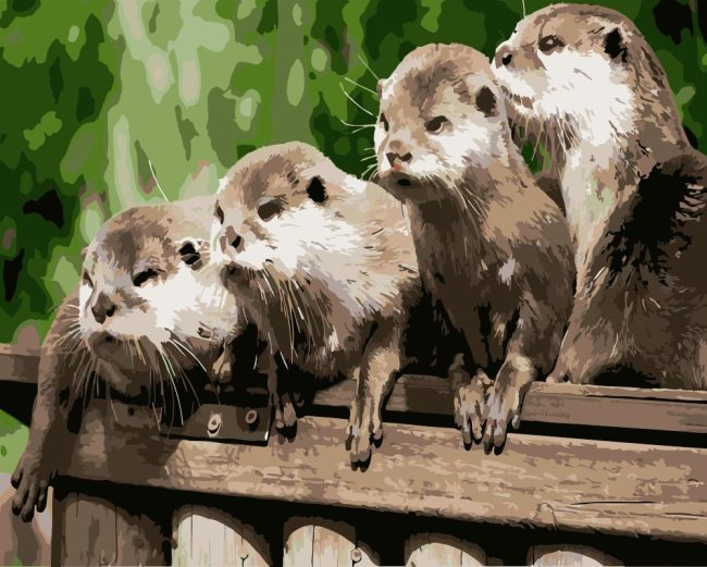 Cute Otters Wildlife Paint By Numbers