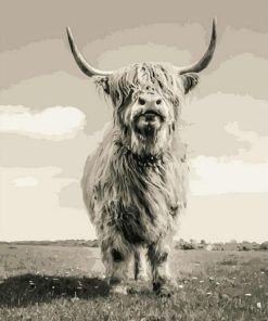 Highland Cow Black and White Paint By Numbers