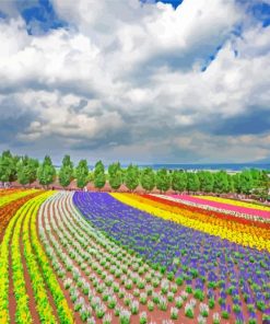 Hokkaido Scenic Farm Paint By Numbers