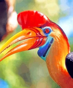 Great Hornbill Bird Paint By Numbers