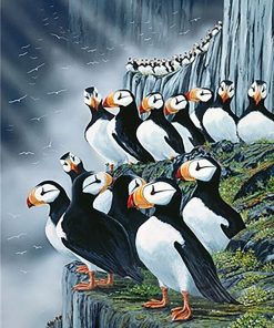Modern Horned Puffin Paint By Numbers