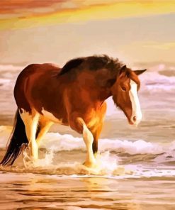 Ocean Horse Serenity Paint By Numbers