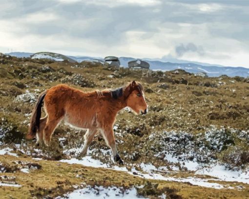 Horse-foal-in-winter-paint-by-numbers