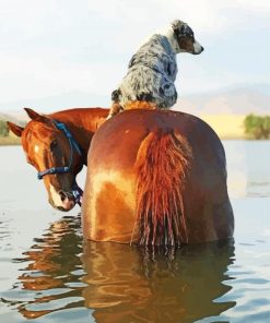 Horse and Mini Aussie Adventure Paint By Numbers