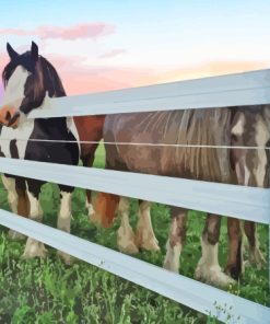 Sunset Horse Fence Paint By Numbers