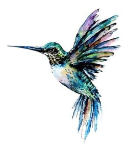 Blue Green Hummingbird Paint By Numbers
