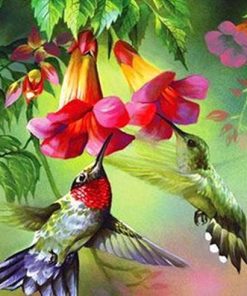 Colorful Hummingbirds Paint By Numbers