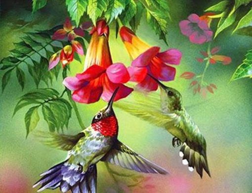 Hummingbirds-paint-by-numbers