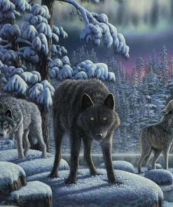 Wild Wolves Paint By Numbers