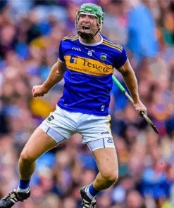 Hurling Sport Athlete Paint By Numbers