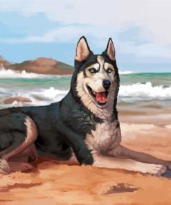 Husky on Sandy Shores Paint By Numbers