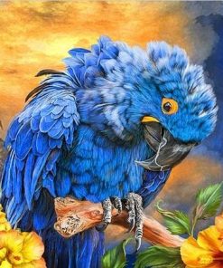 Blue Hyacinth Macaw Bird Paint By Numbers