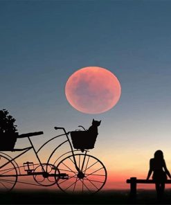 Peaceful Silhouette View Paint By Numbers