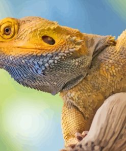 Inland Bearded Dragon Paint By Numbers