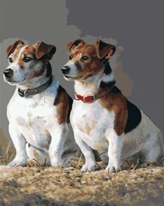 Jack Russell Dog Lovers Paint By Numbers