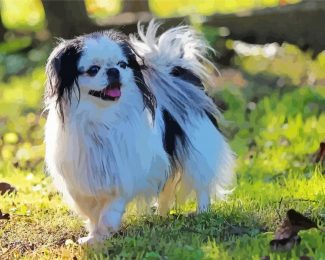 Japanese Chin Dog Artsy Adventure Paint By Numbers