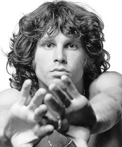 Jim Morrison Photography Paint By Numbers