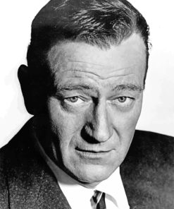 John Wayne Cowboy Paint By Numbers