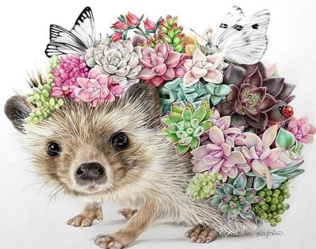 Hedgehog Floral Masterpiece Paint By Numbers