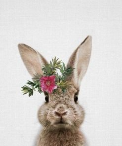 Flower Crown Rabbit Paint By Numbers