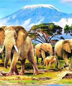 Kilimanjaro Wildlife Elephant Paint By Numbers