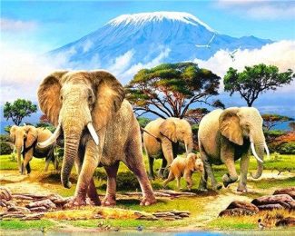 Kilimanjaro Wildlife Elephant Paint By Numbers