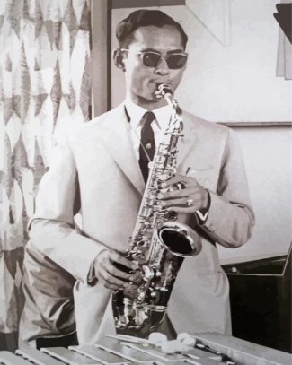 King Bhumibol Sax Paint By Numbers