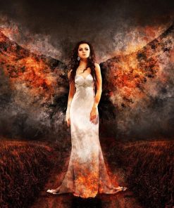 Dark Angel Wings Paint By Numbers