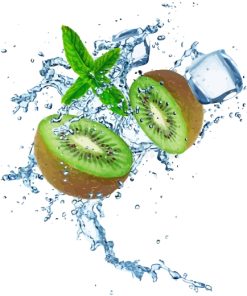 Sliced Kiwi Fruit Paint By Numbers
