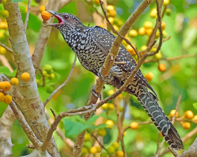 Finalize Colorful Asian Koel Artwork