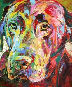 Labrador Vibrant Dog Paint By Numbers