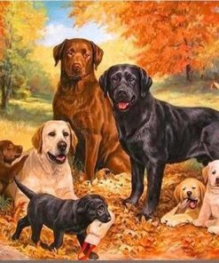 Labrador Dogs Paint By Numbers