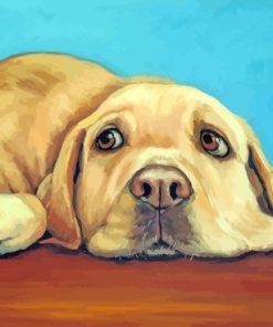 Labrador Dogs Paint By Numbers