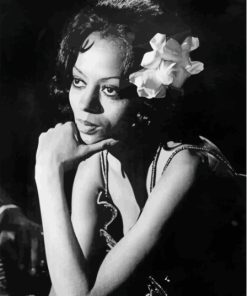 Black and White Drama Diana Ross Paint By Numbers