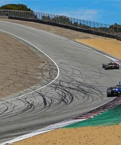 Laguna Seca Racing Track Paint By Numbers