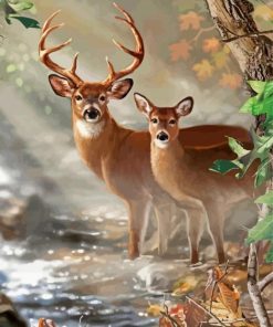 Large Buck And Doe Paint By Numbers