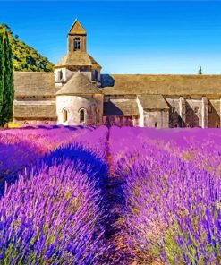 Lavender Scenery Provence Paint By Numbers