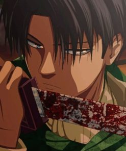 Levi Ackerman Anime Paint By Numbers